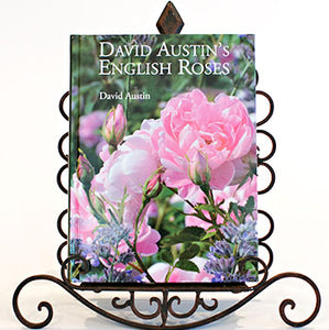 An English Rose Bush and How-To Book