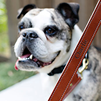 A Very Personal Leather Dog Leash