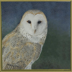 Owl Tray